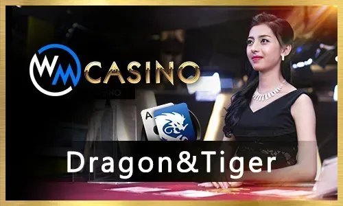niceph Live Blackjack